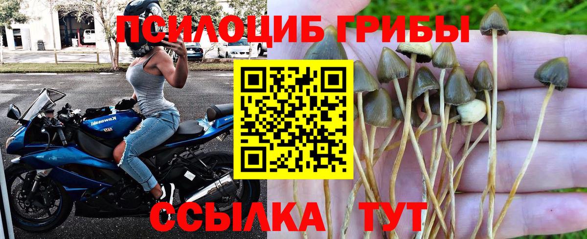 Галлюциногенные грибы мицелий  Вход с VPN  Семилуки 