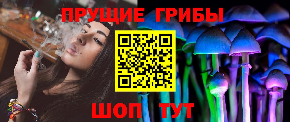 Псилоцибиновые грибы прущие грибы Семилуки