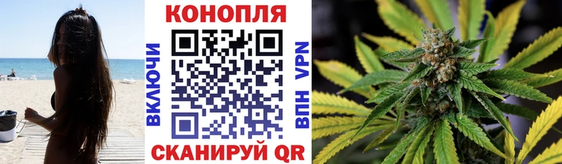 где купить наркоту  Семилуки  Шишки марихуана конопля 