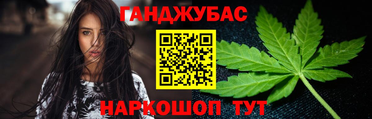 Конопля сатива Семилуки